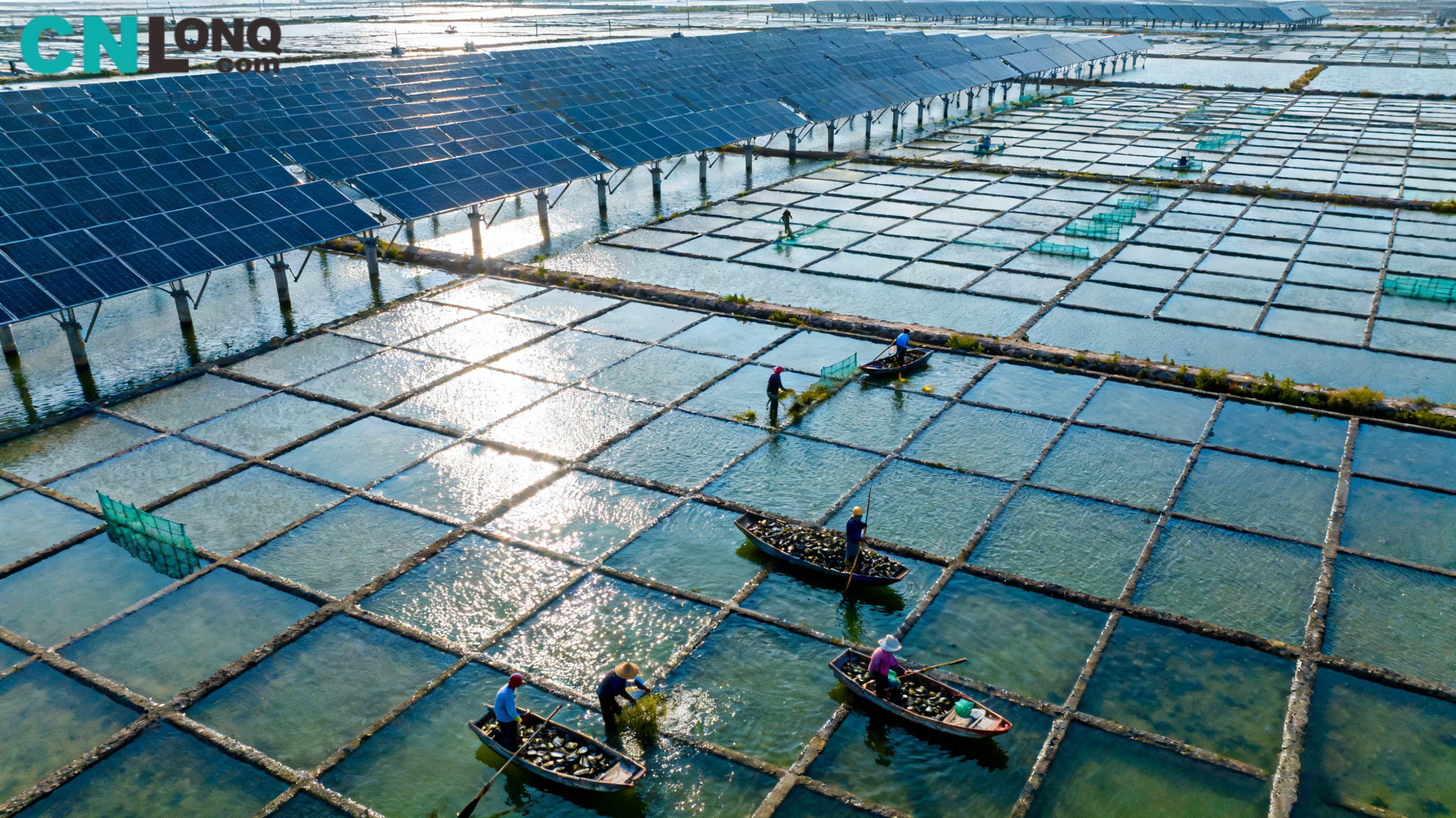 کل سرمایه گذاری 1.2 میلیارد یوان! میدان نمک شیندائو چینگکو با ظرفیت 250 مگاوات پروژه 